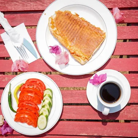 Akyaka Nehir Butik Apart Otel Ula